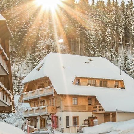 Holiday Apartements By Hotel Gruener Baum Feldberg Feldberg  Εξωτερικό φωτογραφία