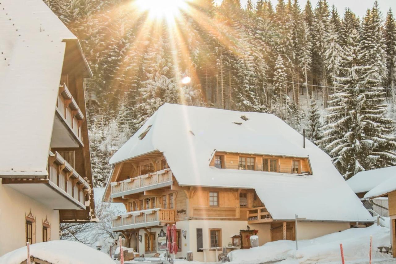 Holiday Apartements By Hotel Gruener Baum Feldberg Feldberg  Εξωτερικό φωτογραφία